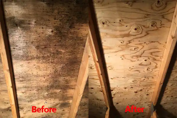 water damage restoration service Elmira Heights